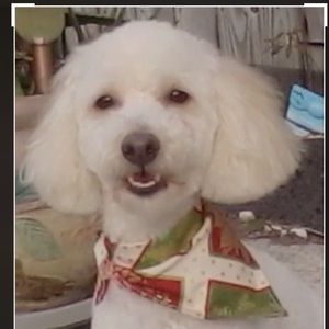 Meet your Posher, Charlotte